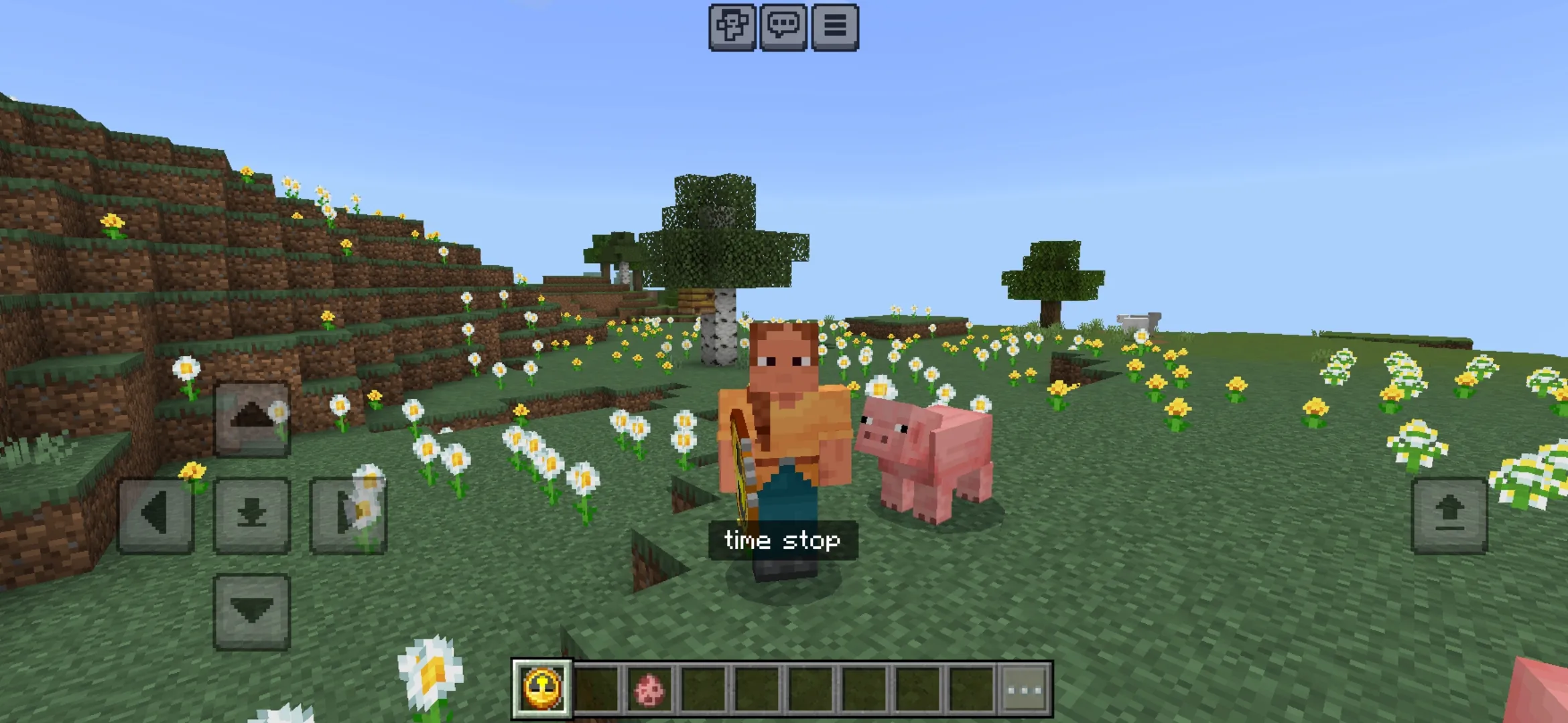 Abilities from Time Stop Mod for Minecraft PE