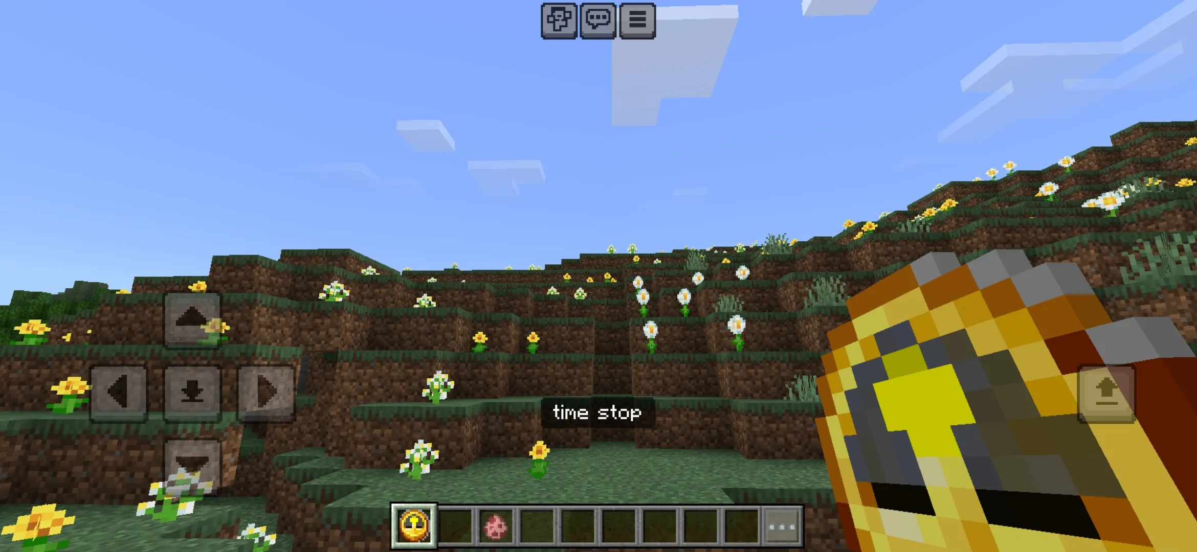 Item from Time Stop Mod for Minecraft PE