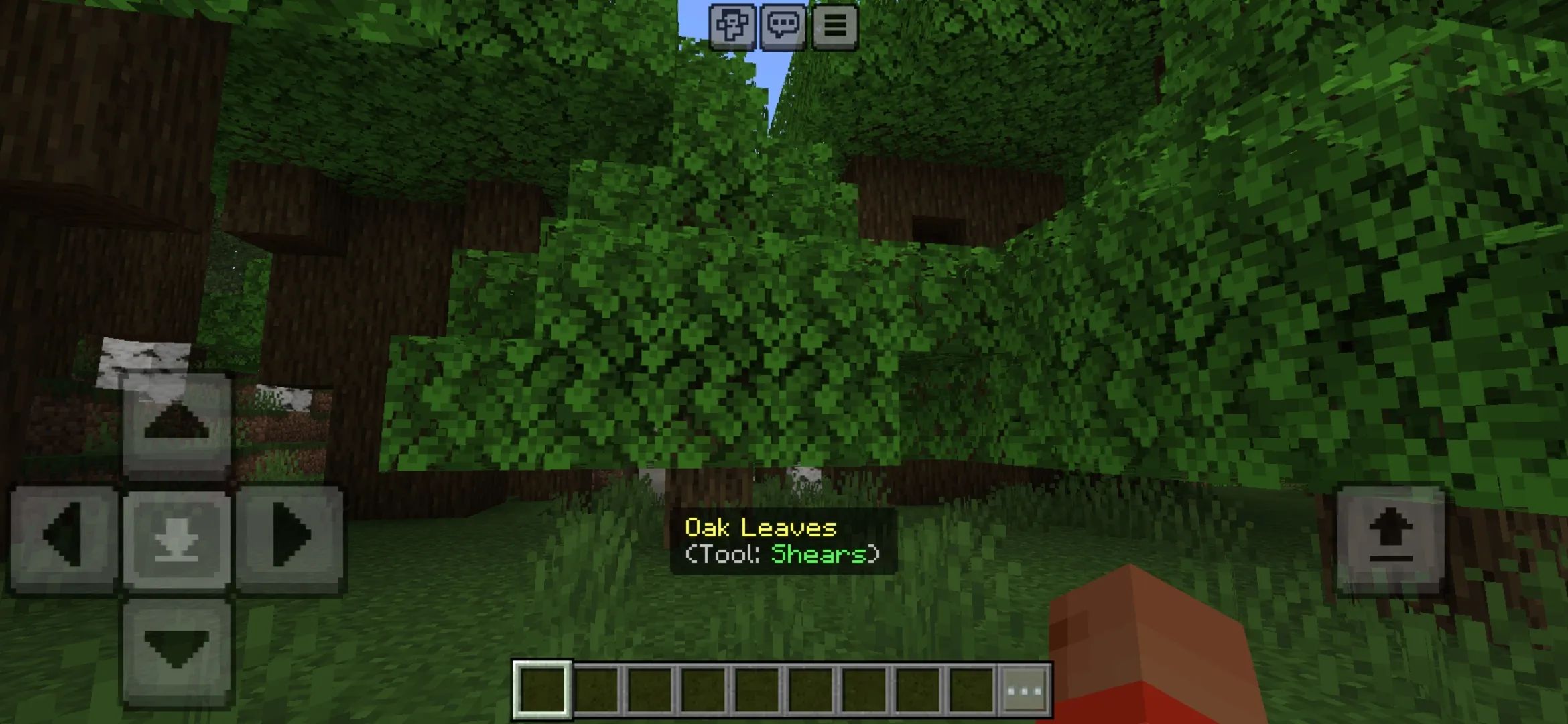 Oak Leaves from WAILA Mod for Minecraft PE