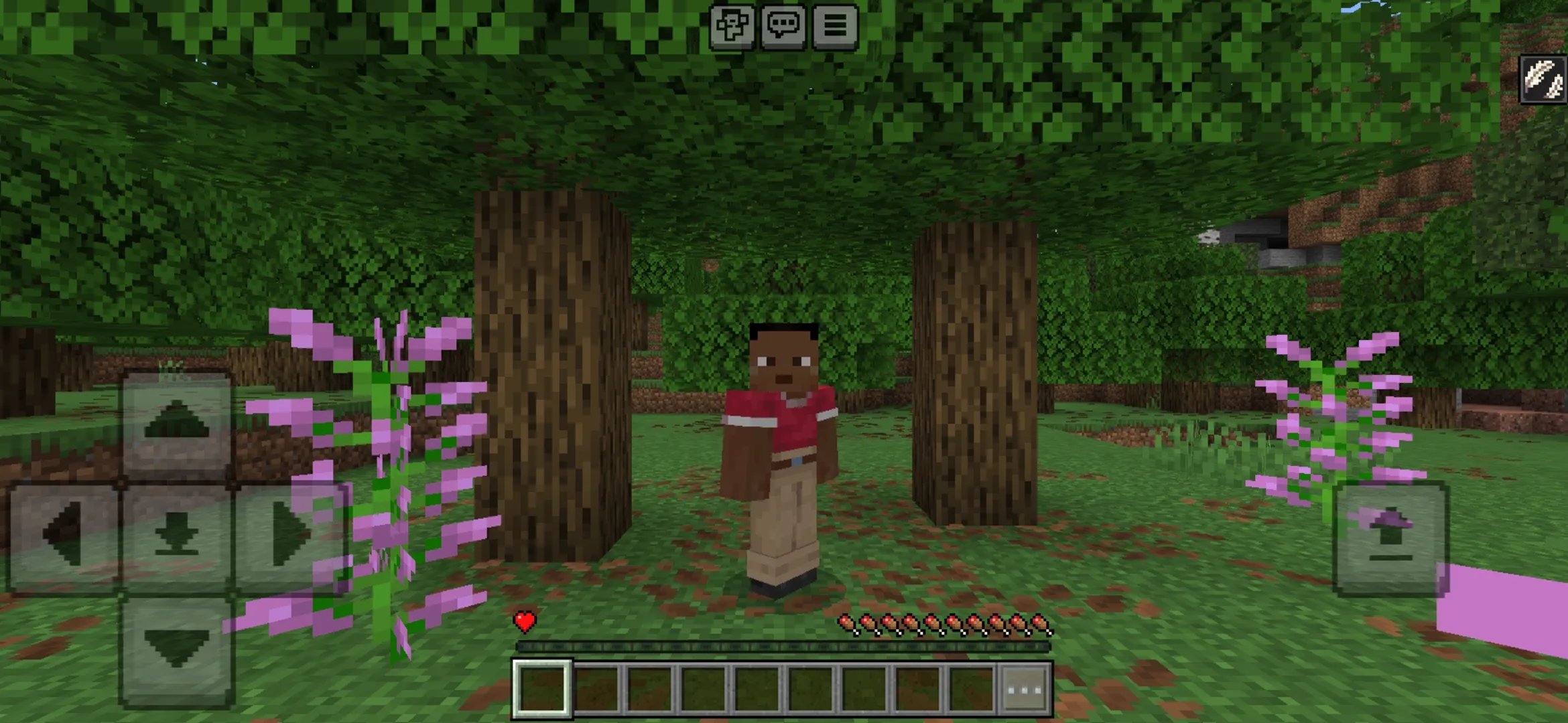 One HP Mod for Minecraft PE
