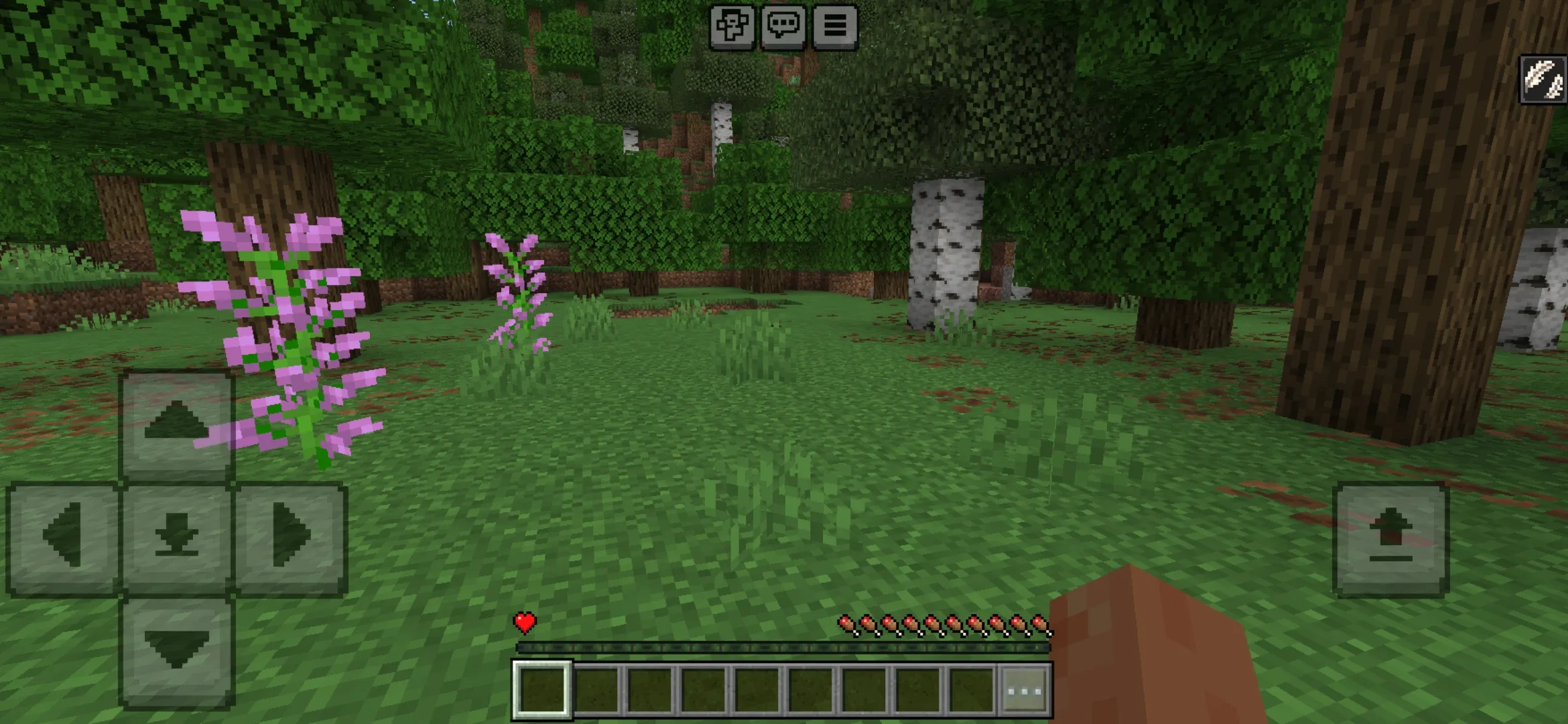 Survive from One HP Mod for Minecraft PE