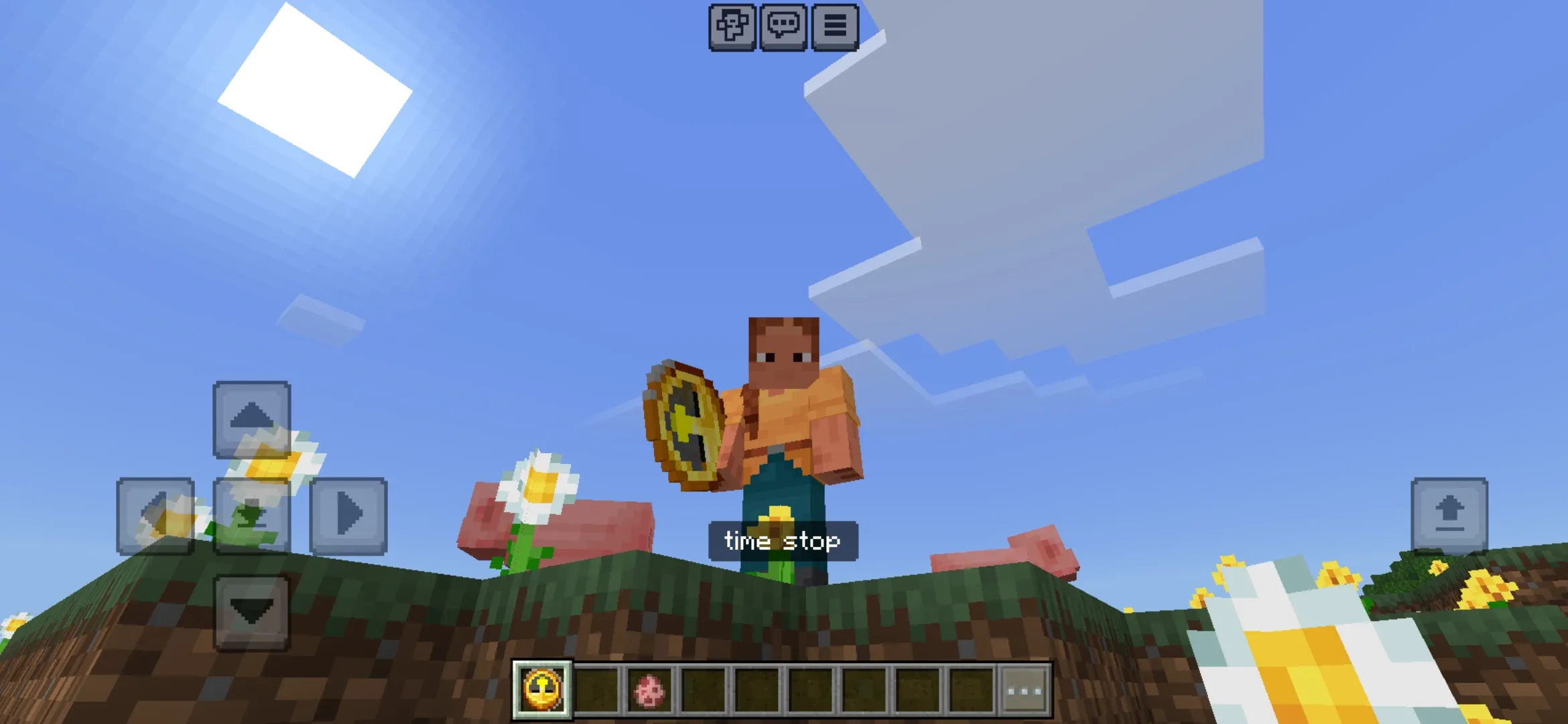 Use from Time Stop Mod for Minecraft PE