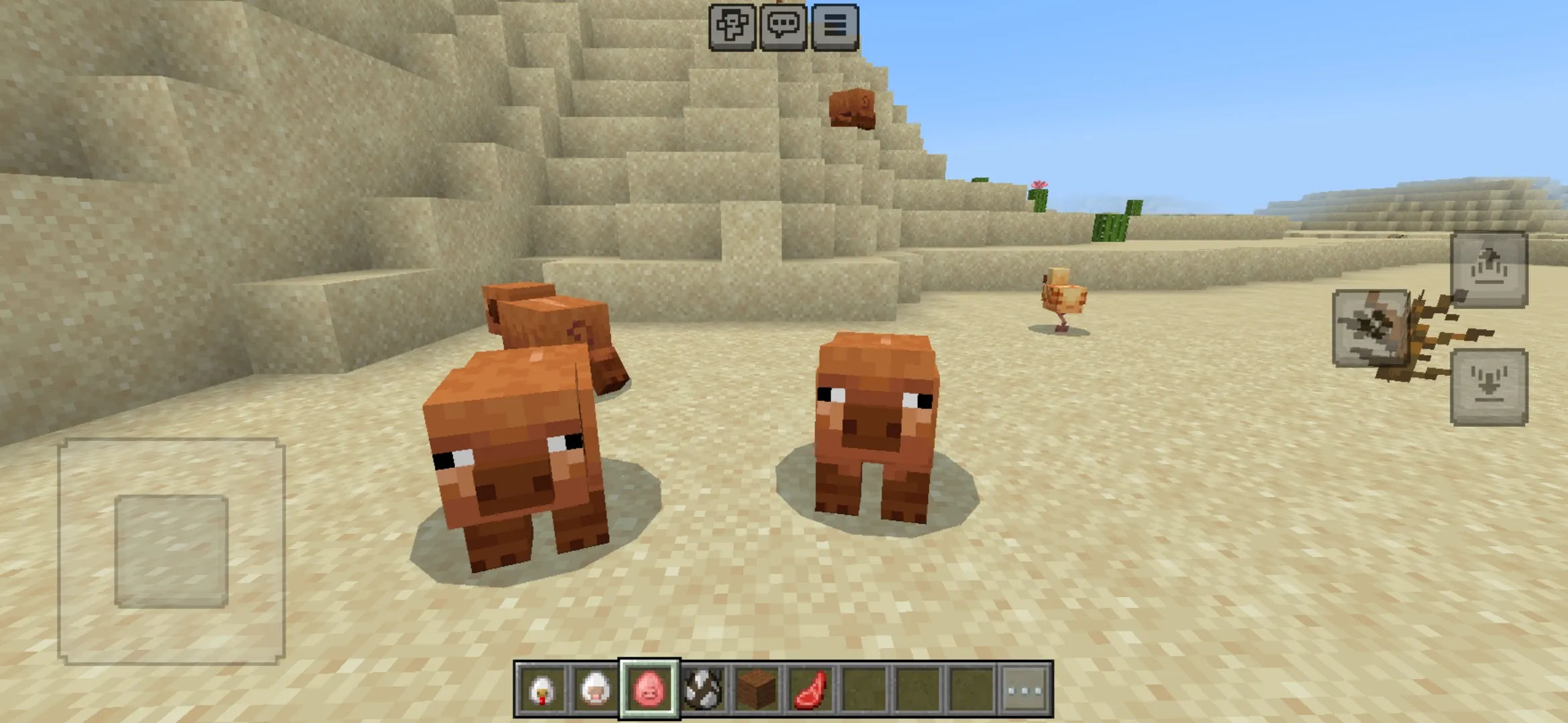 Warm Pig from Minecraft PE 1.21