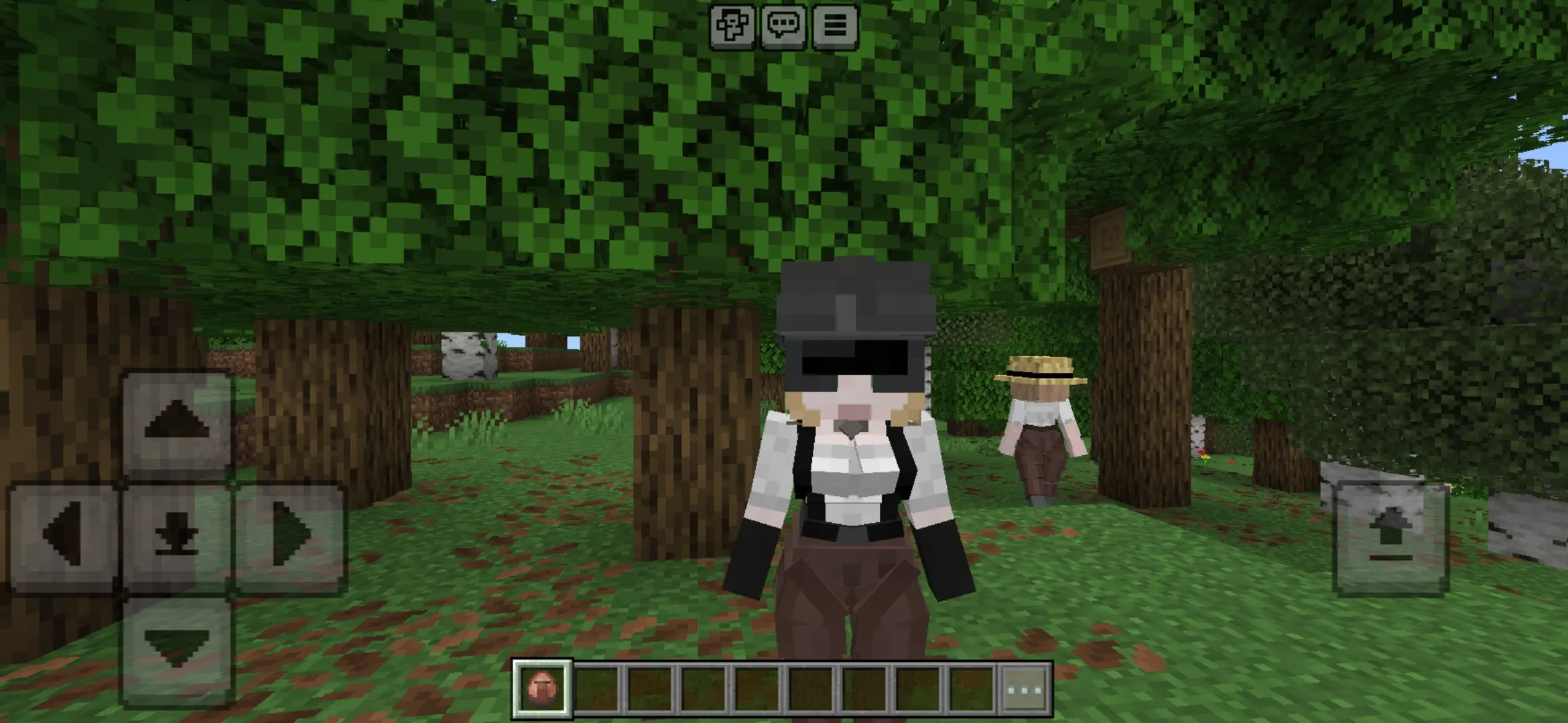 Beauty from Village Girls Mod for Minecraft PE