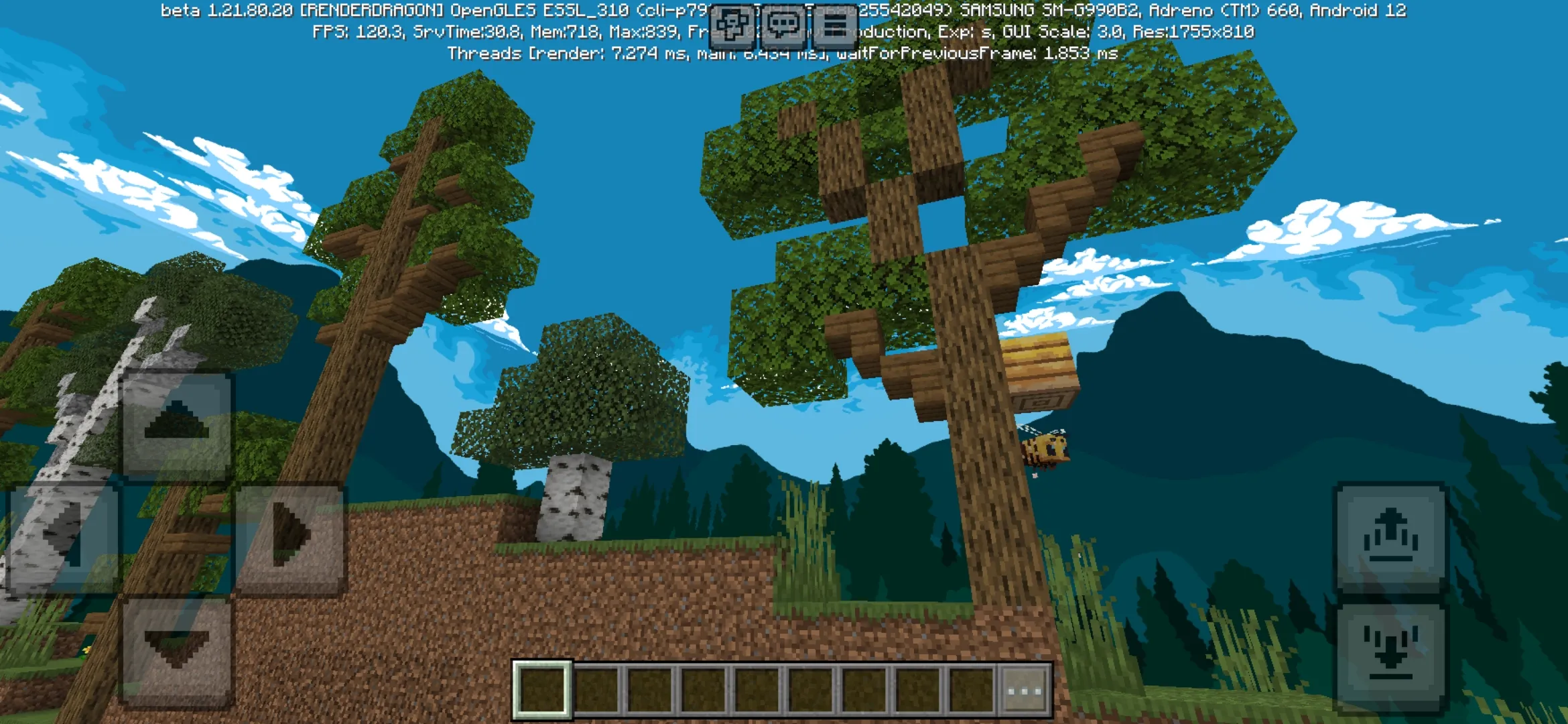 Finish from 2D Survival Map for Minecraft PE
