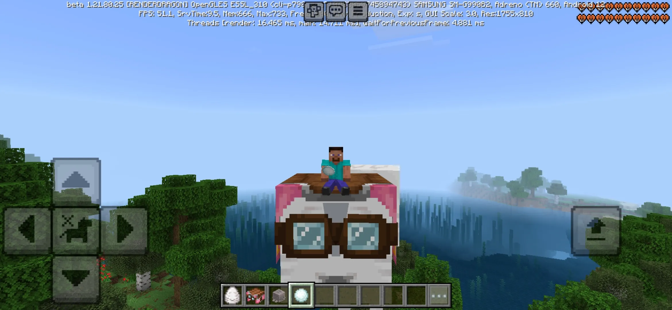 Options from Minecraft PE