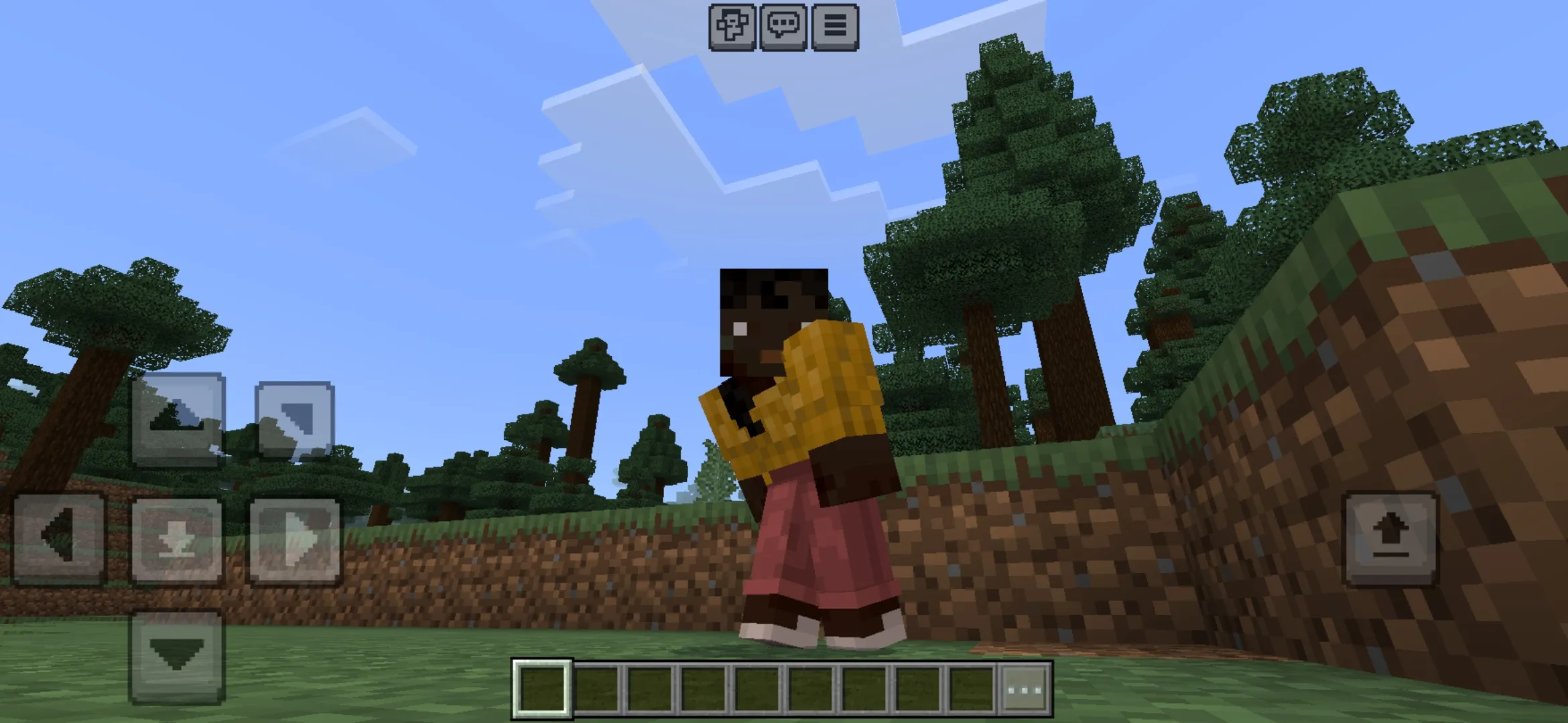 Sneaking from Player Animation Mod for Minecraft PE