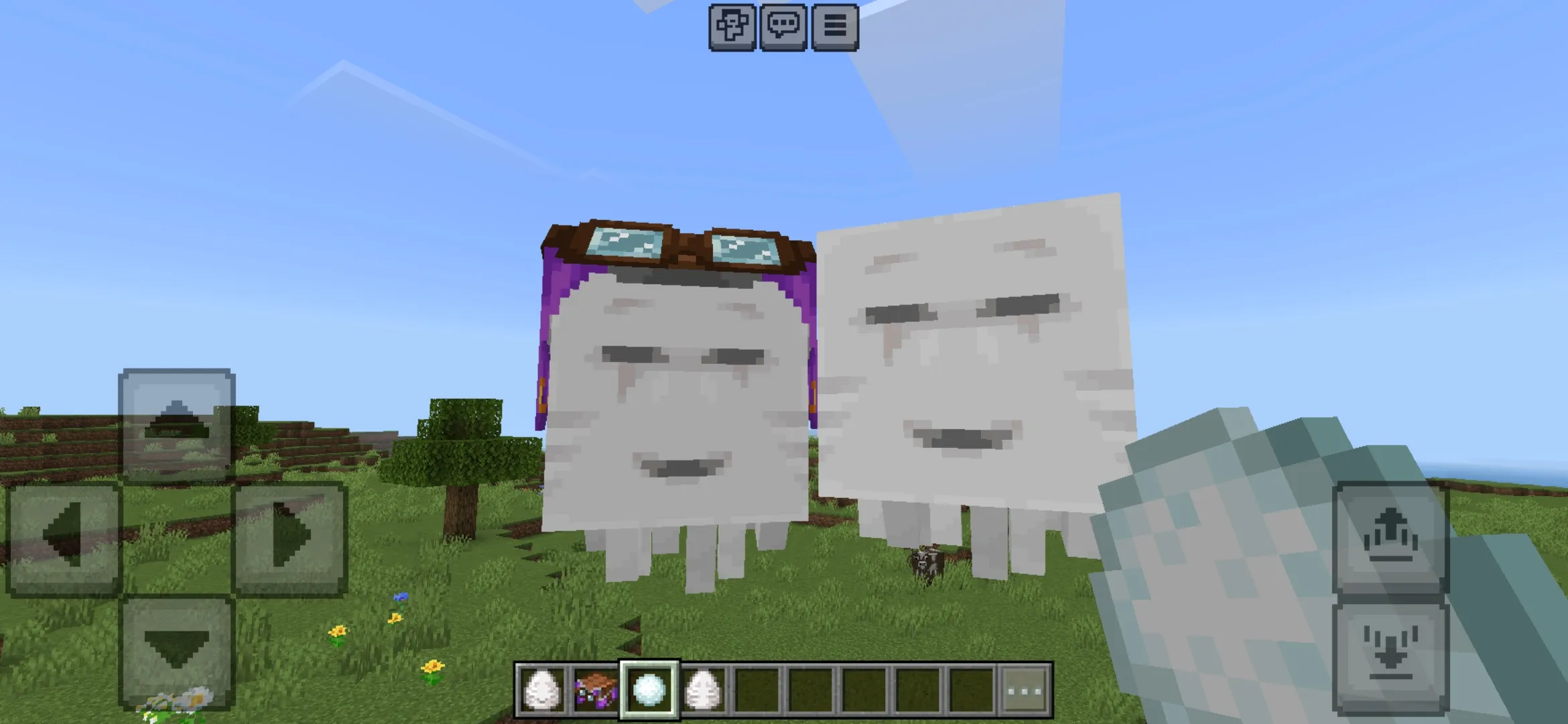 Variants from Minecraft 1.21