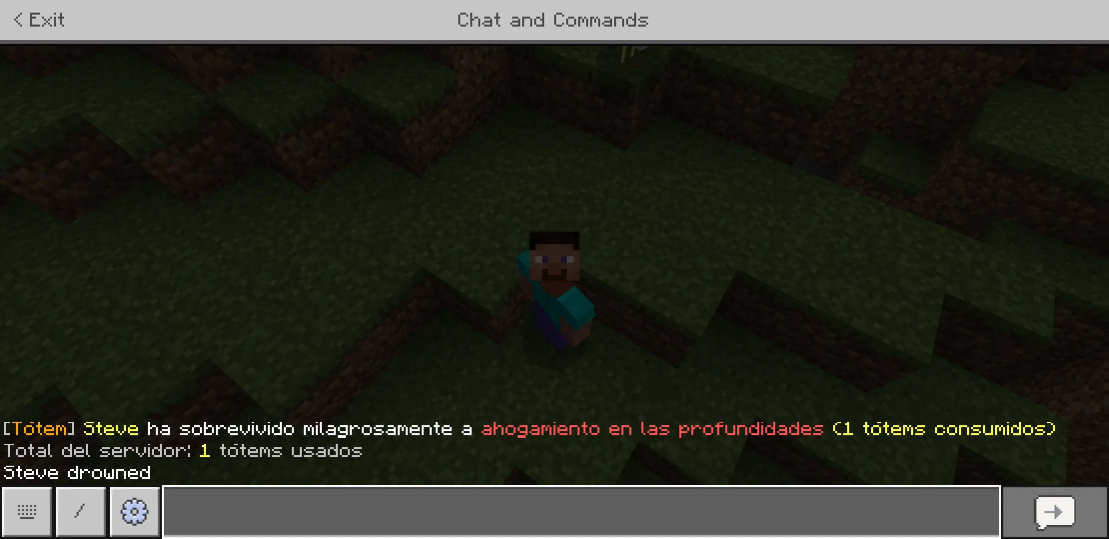 Chat from Totem Counter Mod for Minecraft PE