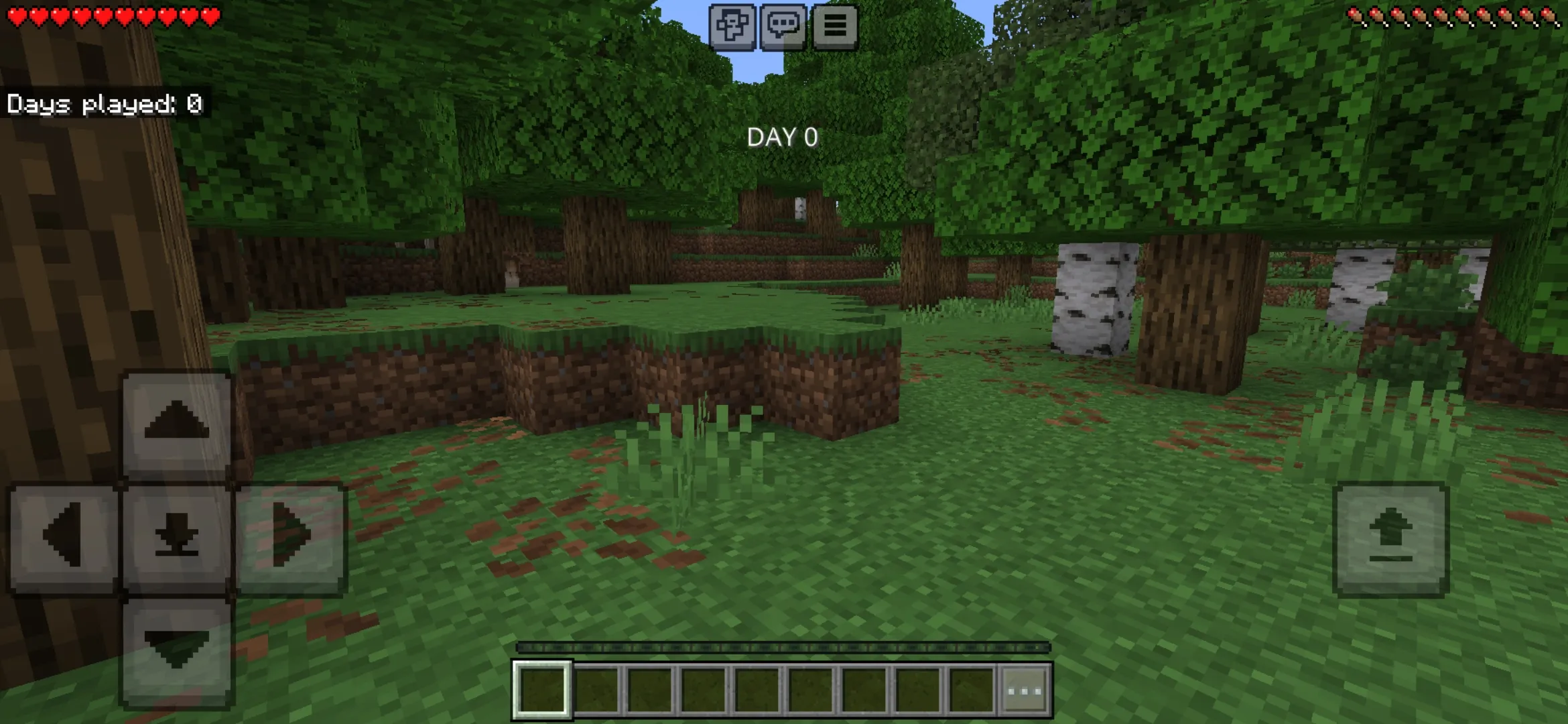 Days Played Texture Pack for Minecraft PE