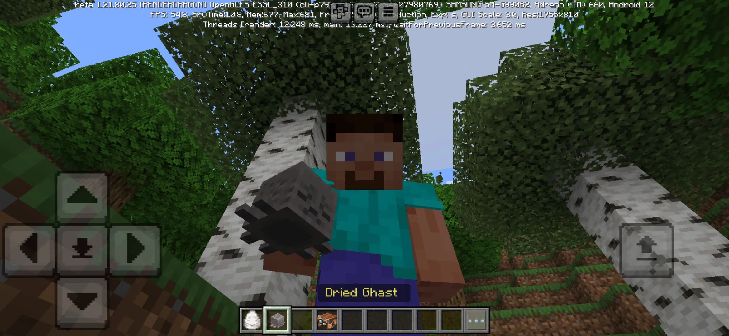 Dried Ghast from Minecraft PE 1.21