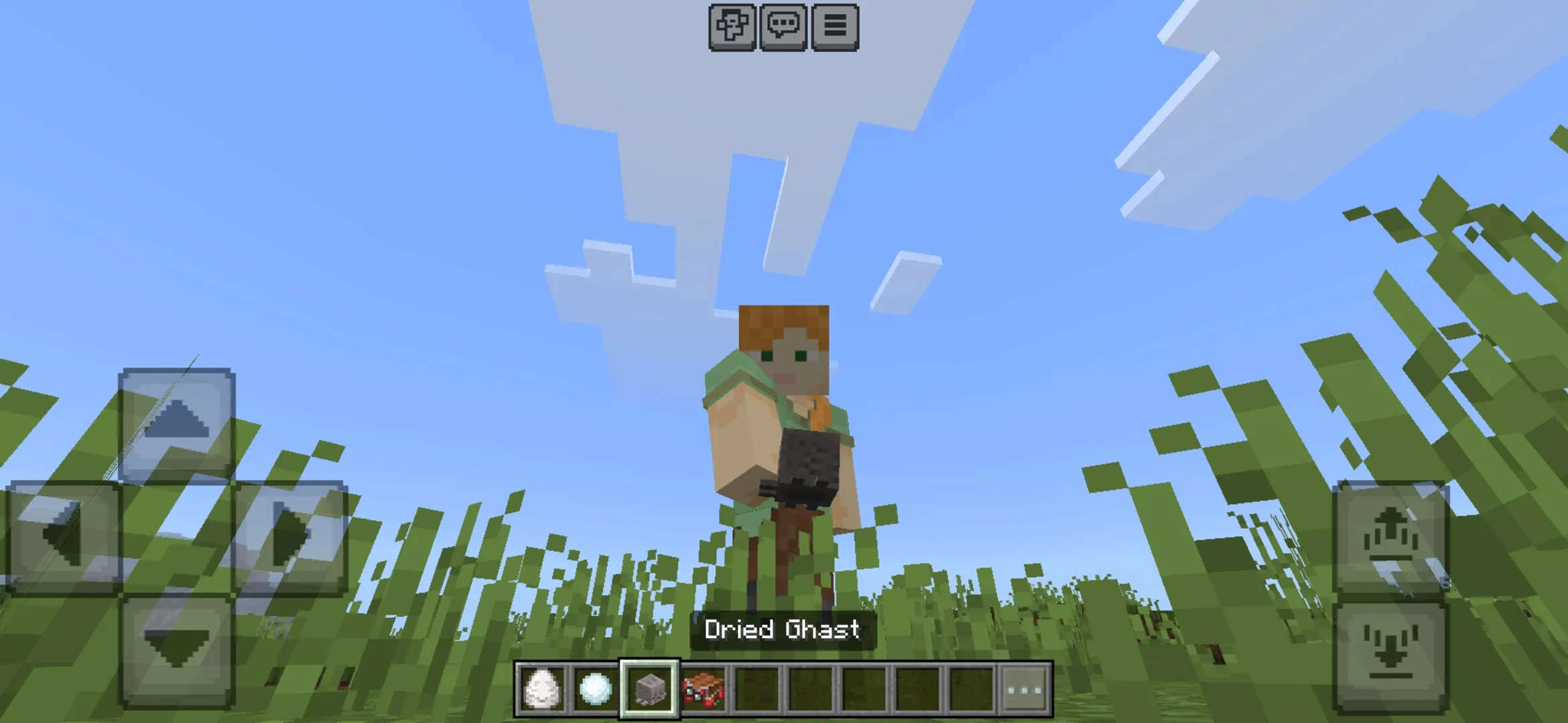 Dried Ghast from Minecraft 1.21
