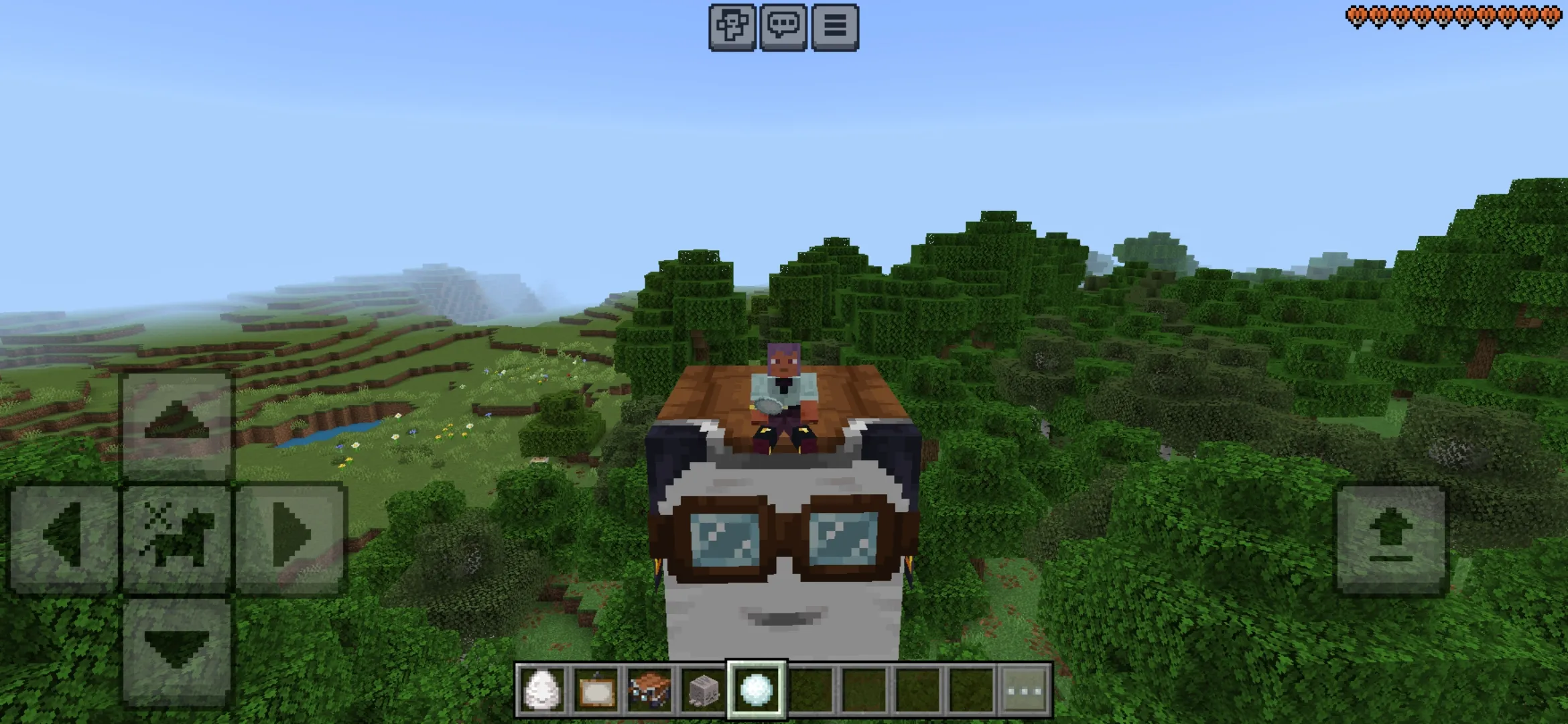 Fly from Minecraft 1.21