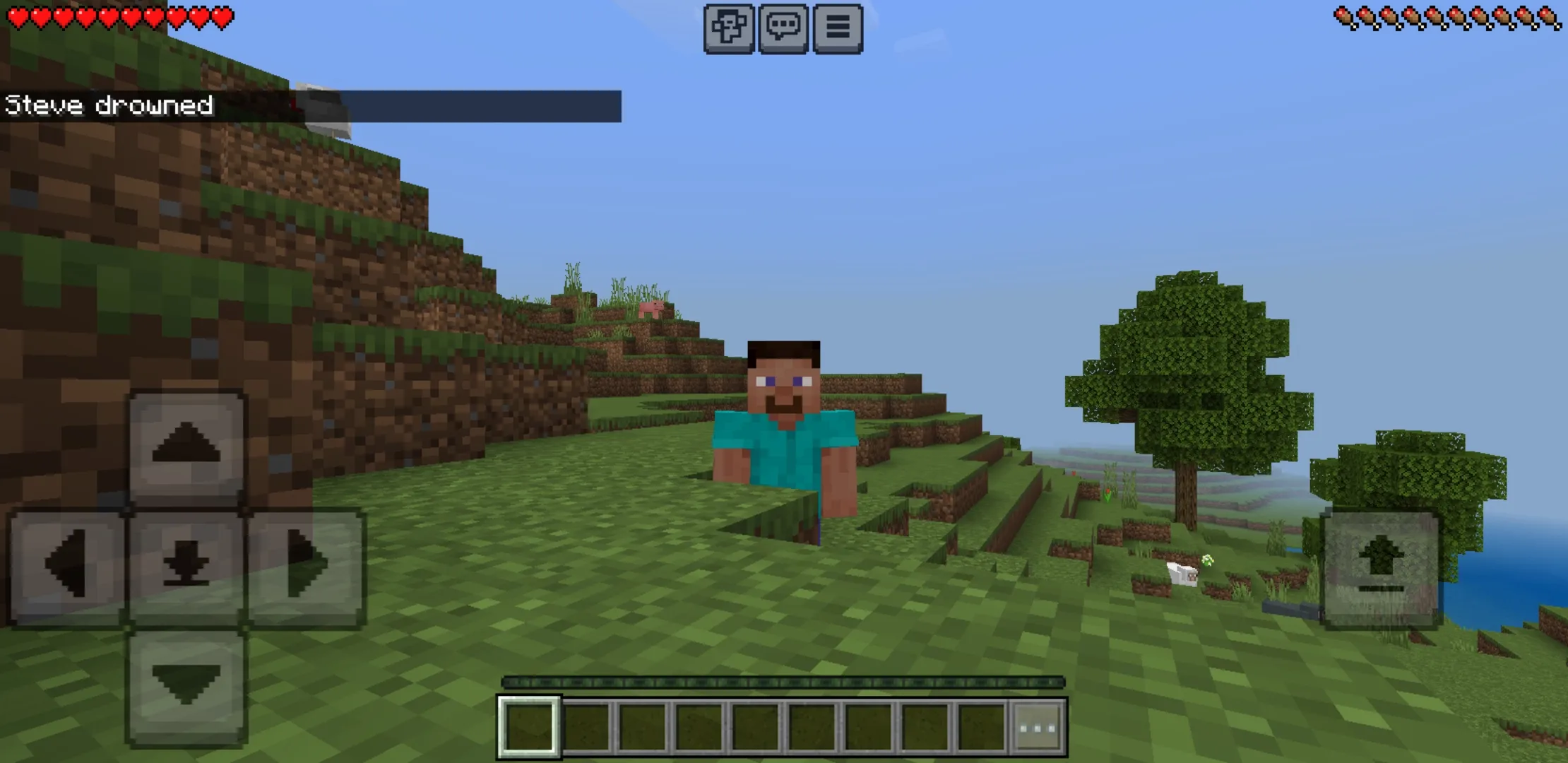 Info from Totem Counter Mod for Minecraft PE