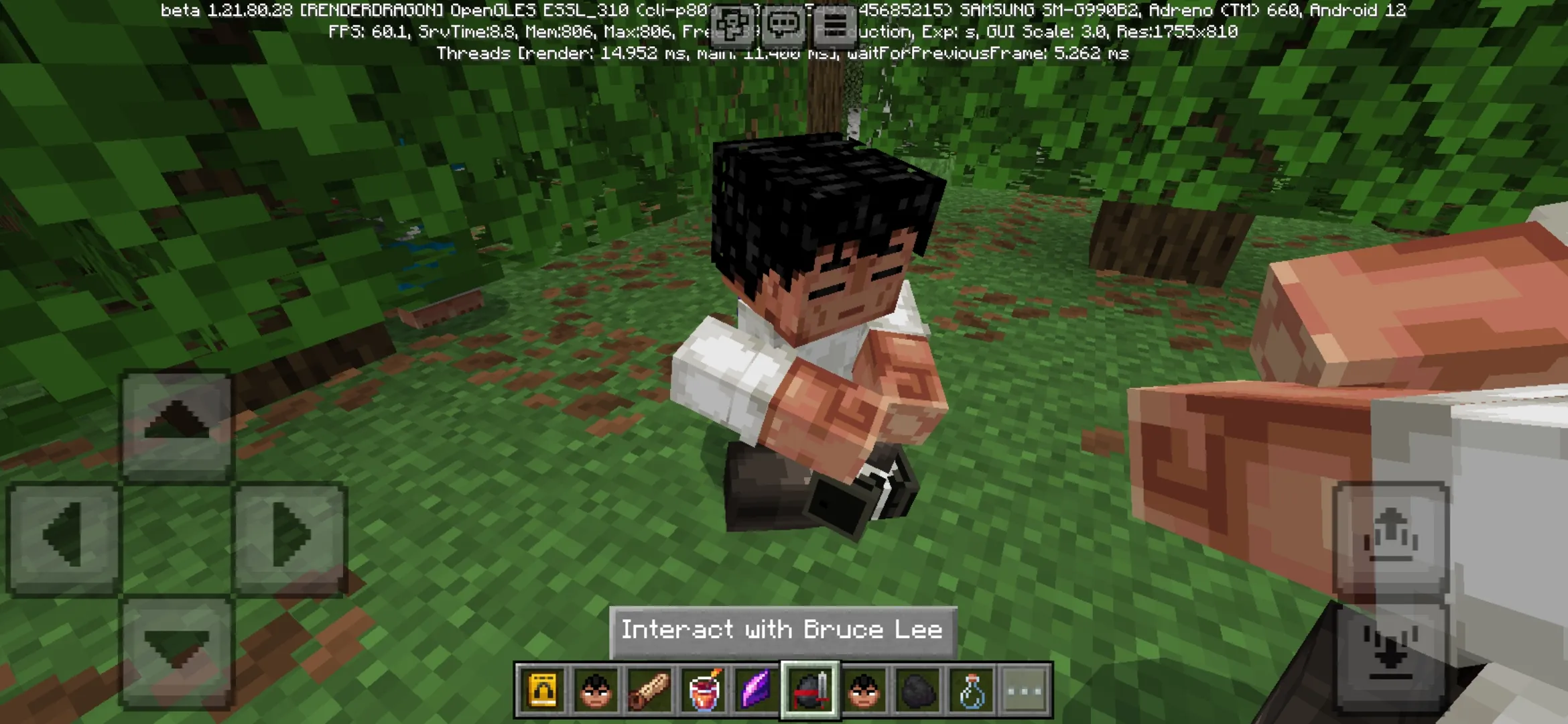 Meditation from Bruce Leee Mod for Minecraft PE