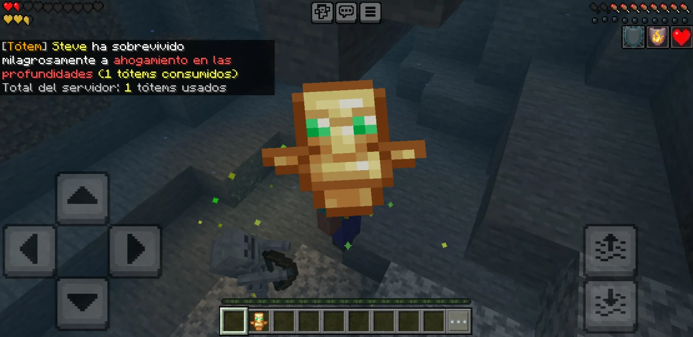 Options from Totem Counter Mod for Minecraft PE