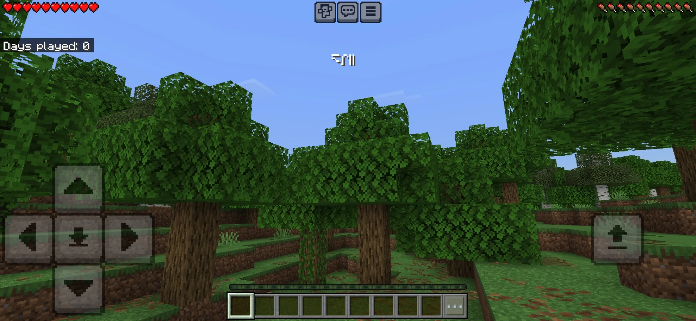 Rune from Days Played Texture Pack for Minecraft PE