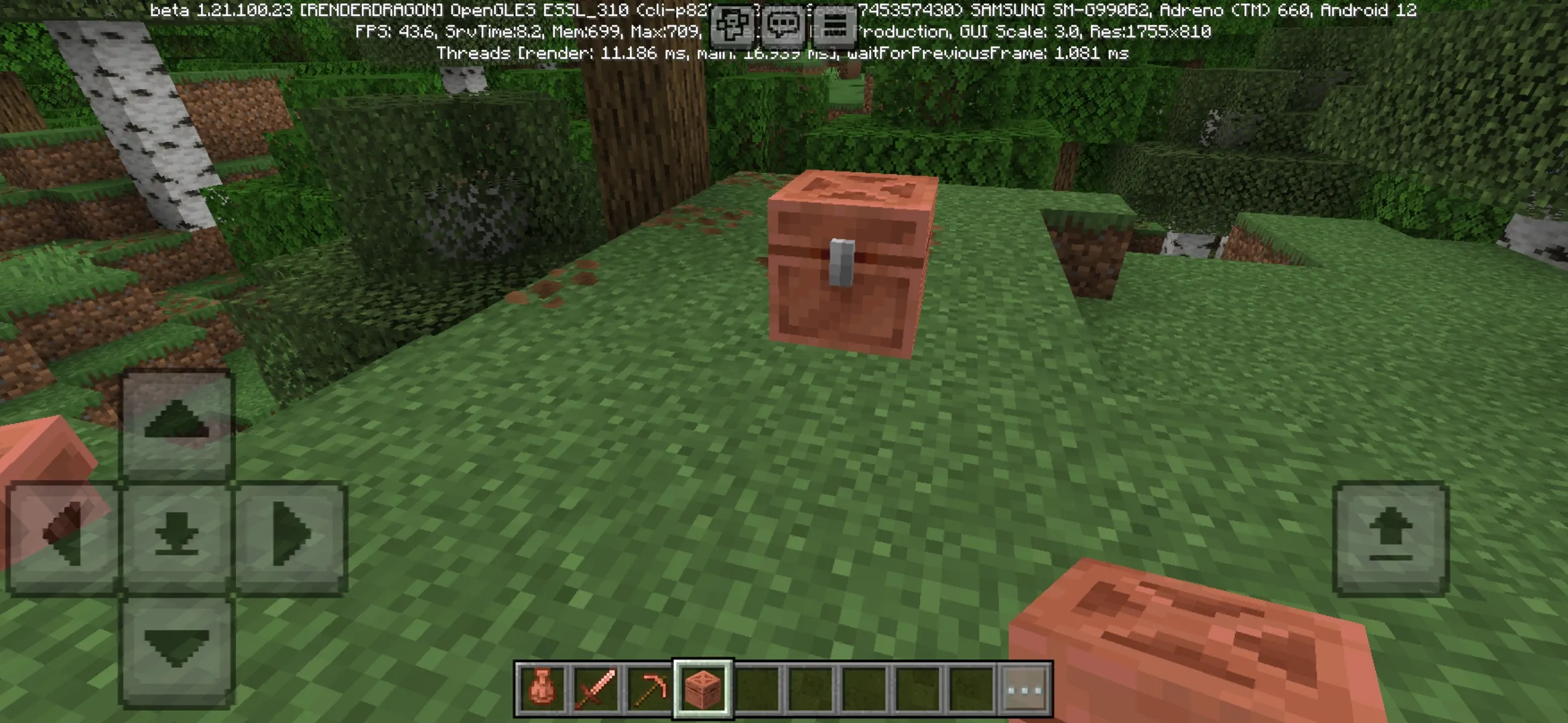 Chest from Minecraft PE 1.21