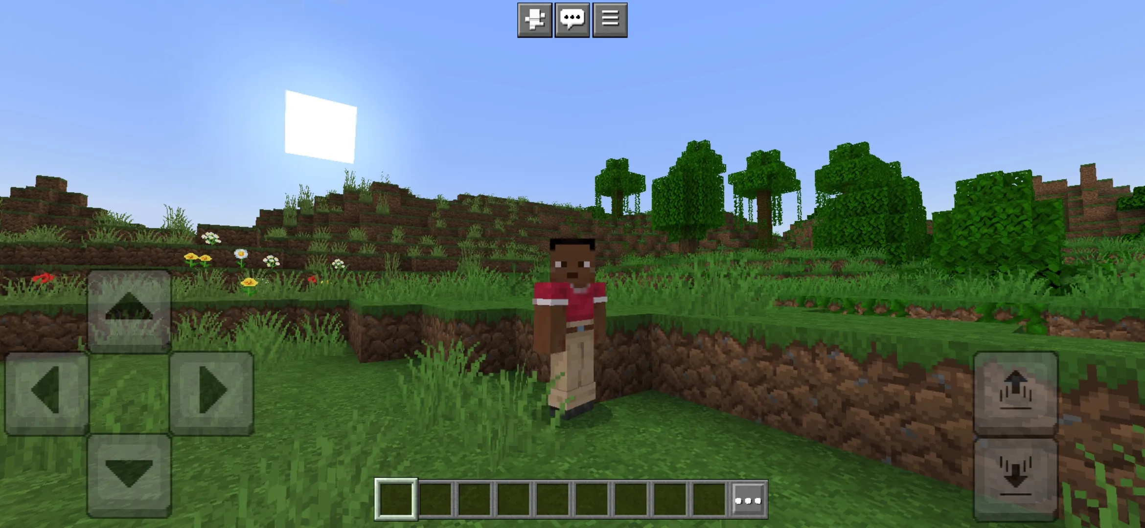 MultiPixel Texture Pack for Minecraft PE