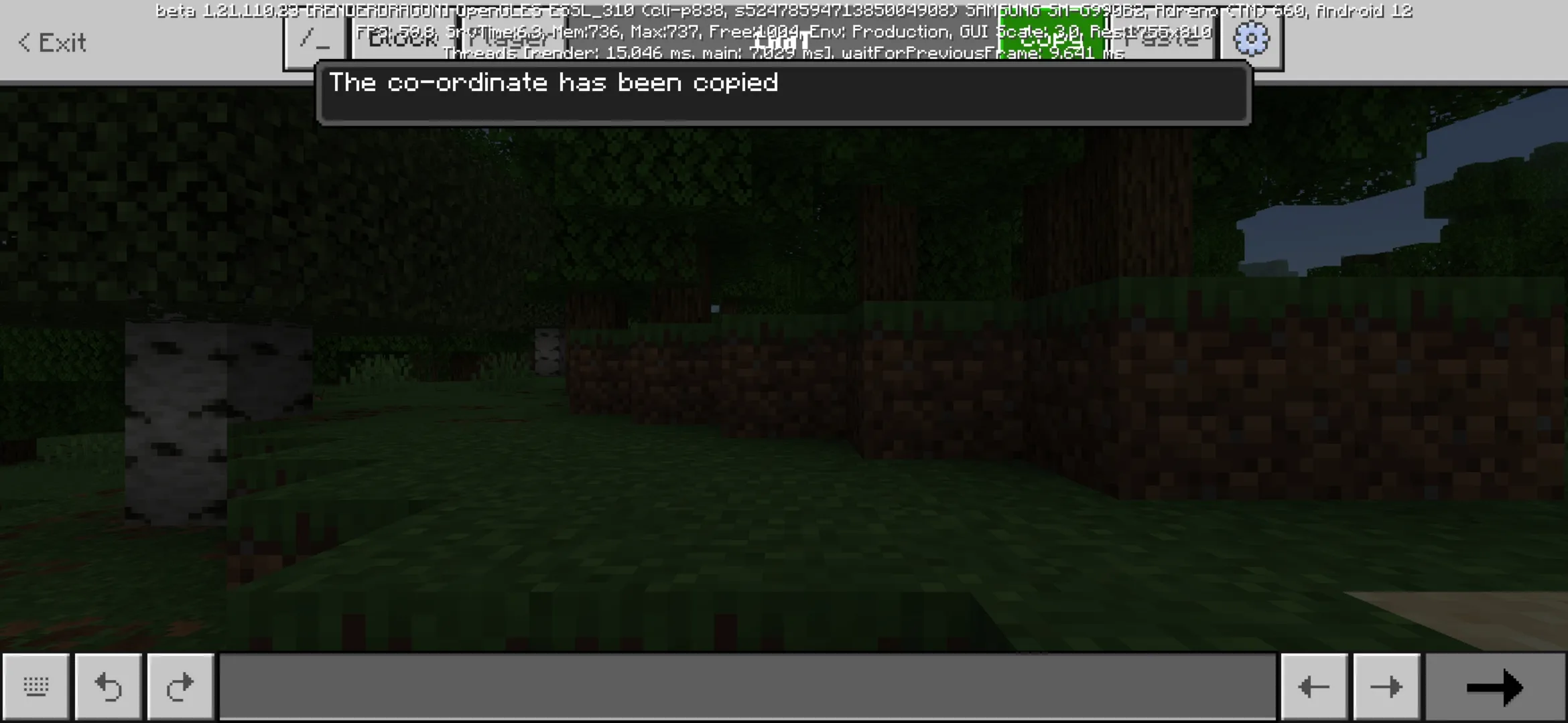 Copy from Quick Chat Texture Pack for Minecraft PE