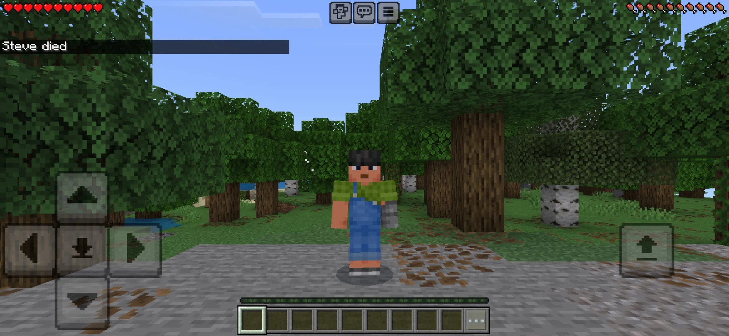 Info from But the World Texture Pack for Minecraft PE