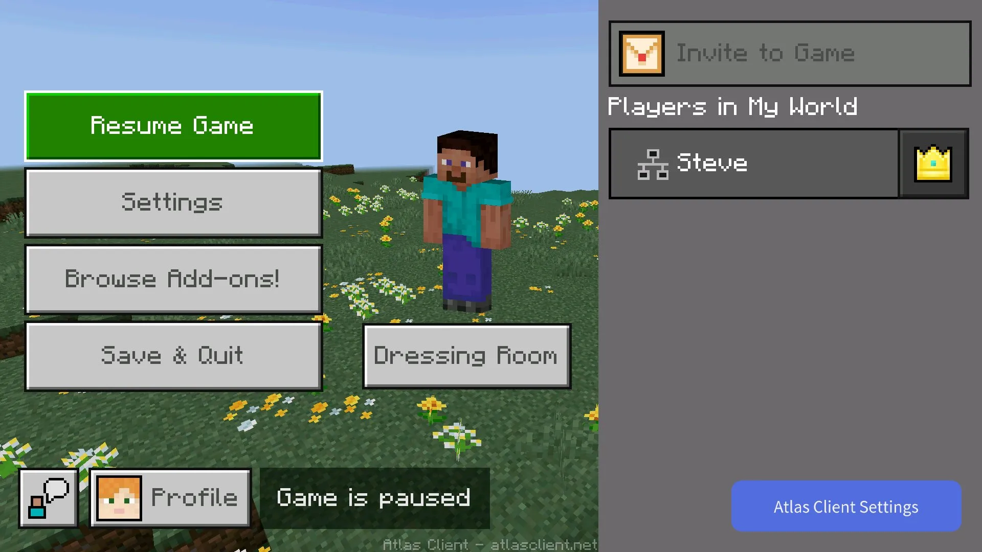 Turning on from client atlas from Minecraft PE 1.21